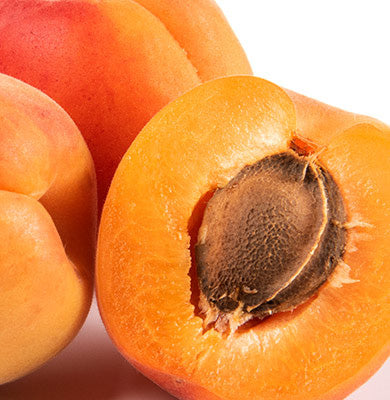 NATURE - SCIENCE HYPHENED - 10% Kakadu Plum Extract