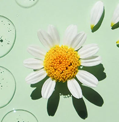 NATURE - SCIENCE HYPHENED - 2.5% CHAMOMILE EXTRACTS