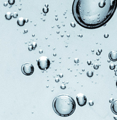 NATURE - SCIENCE HYPHENED - Ceramides