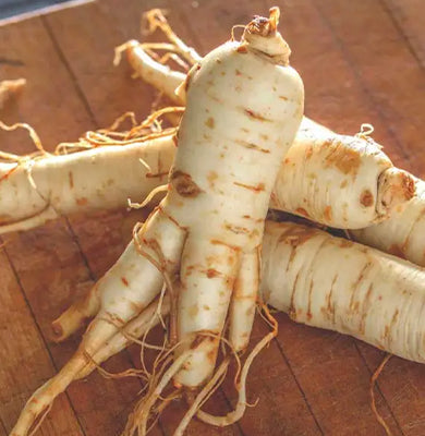 NATURE - SCIENCE HYPHENED - Ginseng Extract