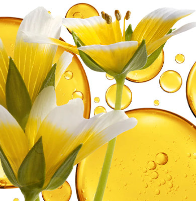 NATURE - SCIENCE HYPHENED - Meadowfoam Oil