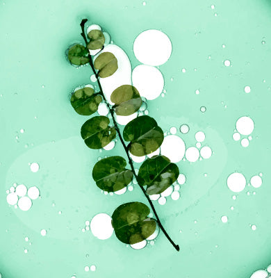NATURE - SCIENCE HYPHENED - Plant Stem Cell Extract