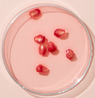 NATURE - SCIENCE HYPHENED - Pomegranate Oil