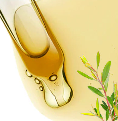 NATURE - SCIENCE HYPHENED - Tea Tree Extract