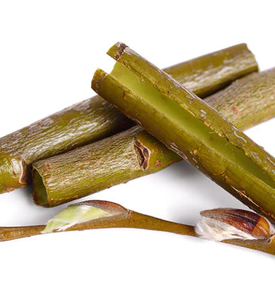 NATURE - SCIENCE HYPHENED - Willow Bark extract