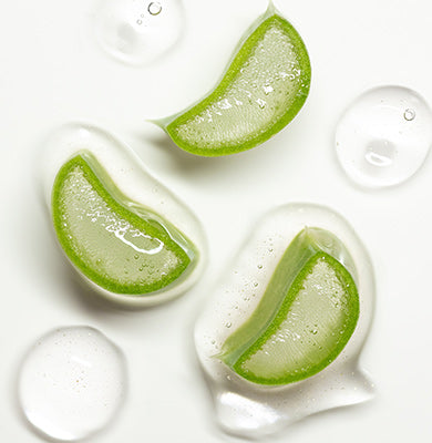 NATURE - SCIENCE HYPHENED - ALOE VERA