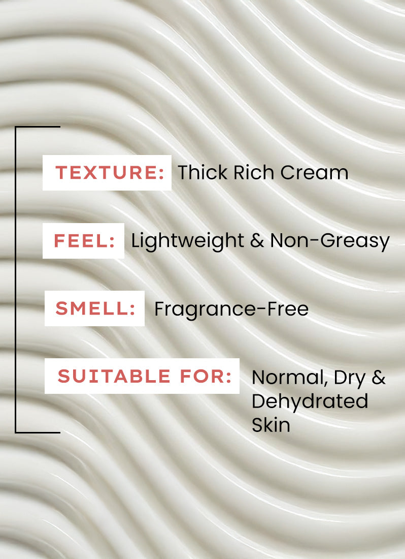 7% Ceramides-NMF Face Moisturizer Rich Pillow Cream - 50 ml