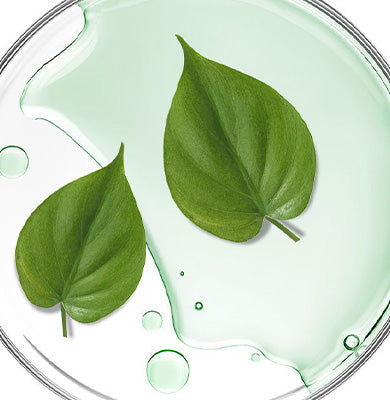 NATURE - SCIENCE HYPHENED - 10% Heartleaf Extract