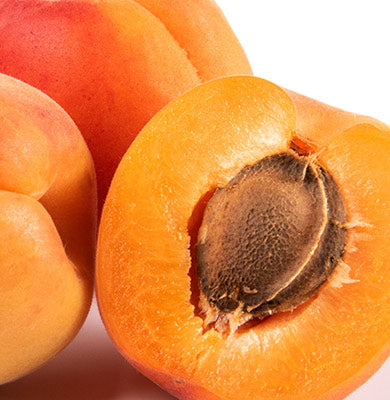 NATURE - SCIENCE HYPHENED - Kakadu Plum