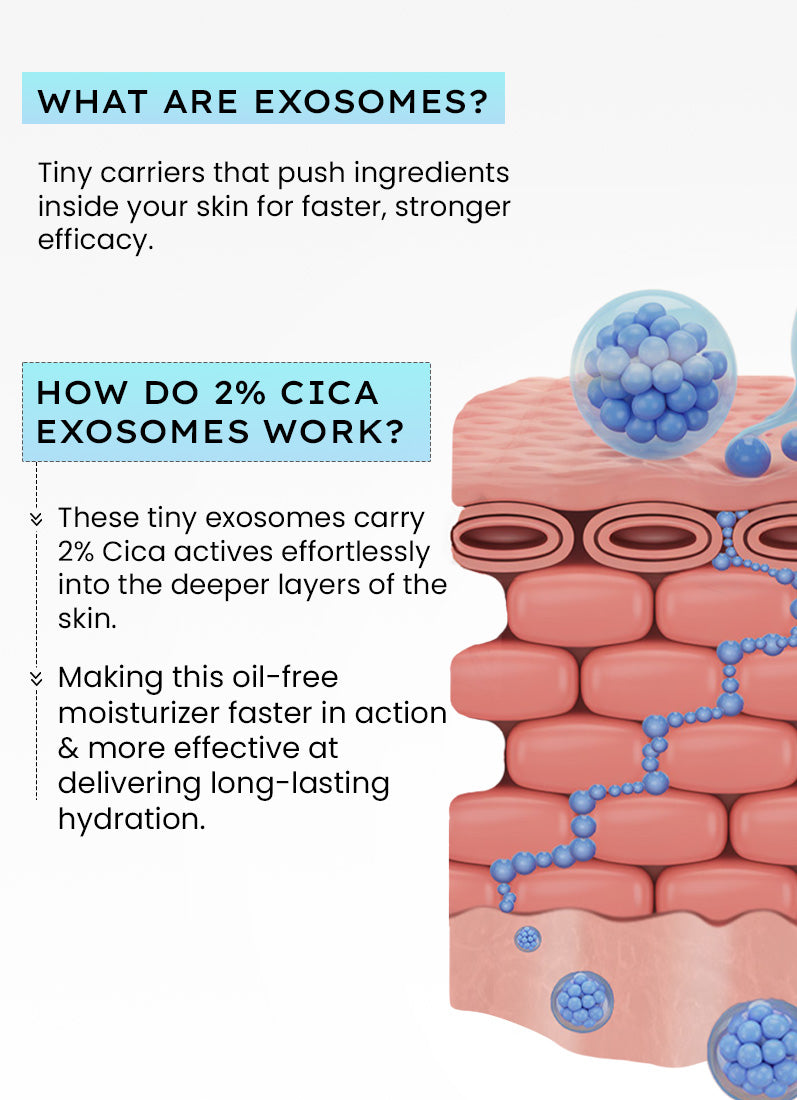 Hyphen 2% Cica Exosomes Oil-Free Moisturizer 100ml - what are exosomes, skin layer delivery infographic