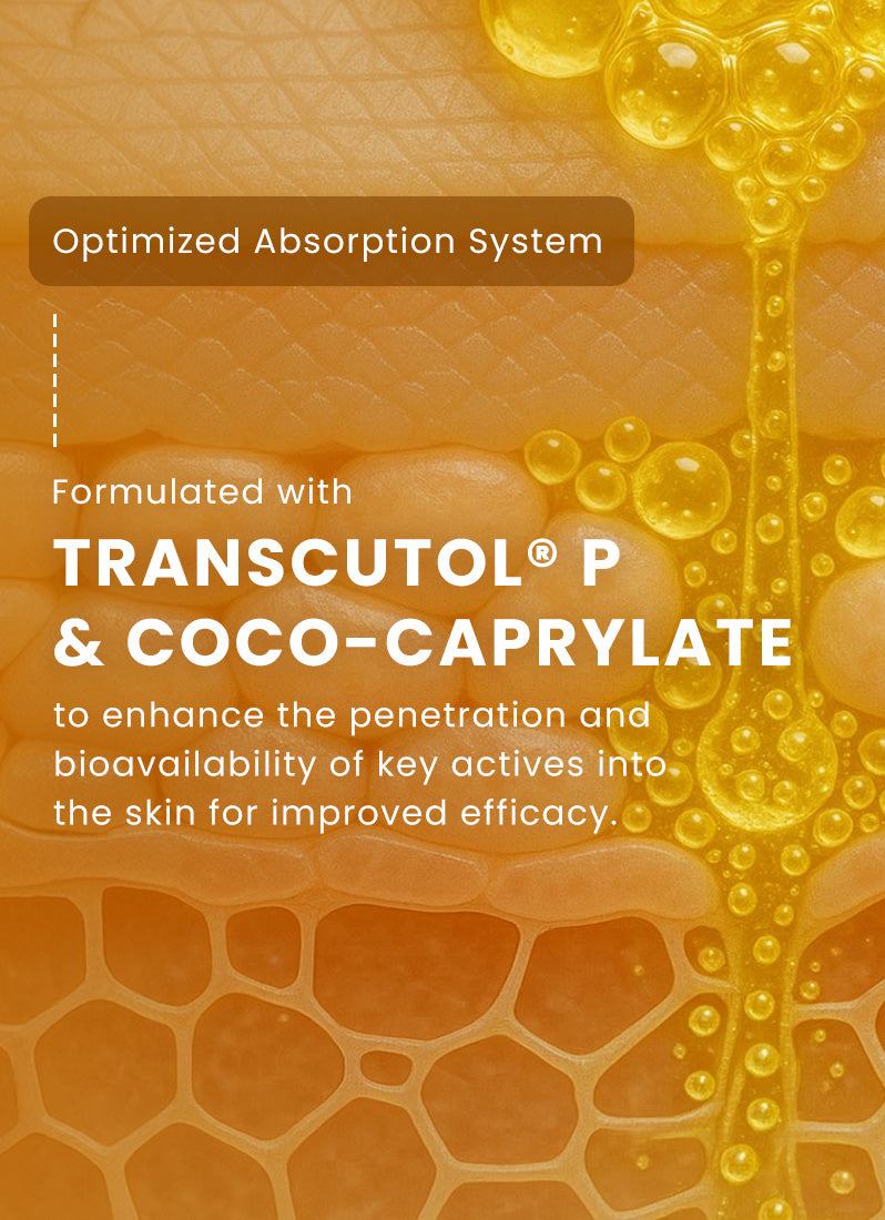 Dual Phase De-pigmentation Serum | 4% Tranexamic Acid