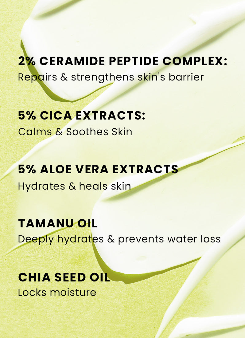 Barrier Repair Moisturizer with 2% Ceramide-Peptide Complex - 100ml
